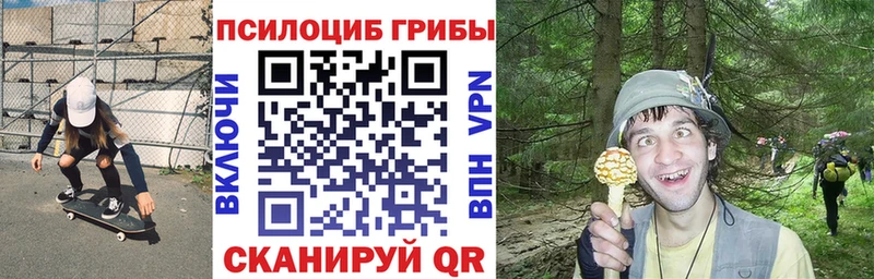 Псилоцибиновые грибы Cubensis  закладка  Белоярский 